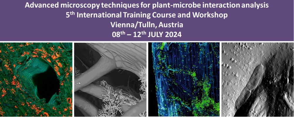 5th International Training Course & Workshop on Adavnced microscopy techniques for plant-microbe interaction analysis